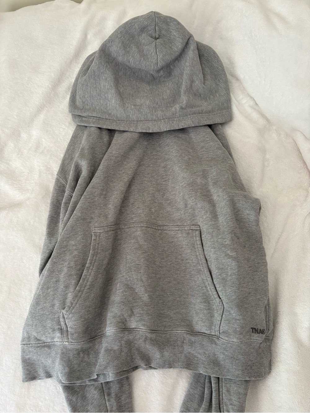 Aritzia TNA Grey Sweatfleece Perfect Fit Hoodie (fits like a medium)